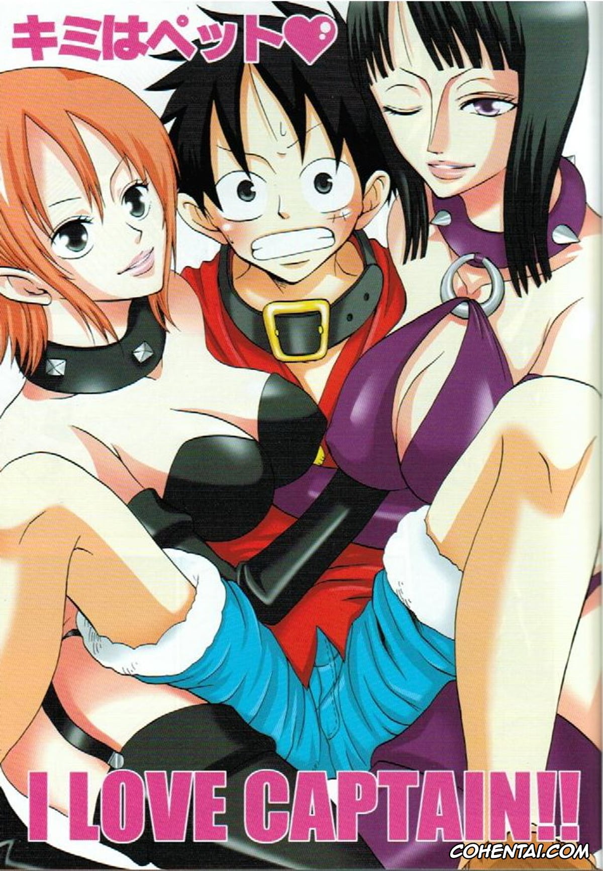 One Piece porno, Monkey D. Luffy porno, Nico Robin porno, Kimi wa Pet (One Piece), pagina 2