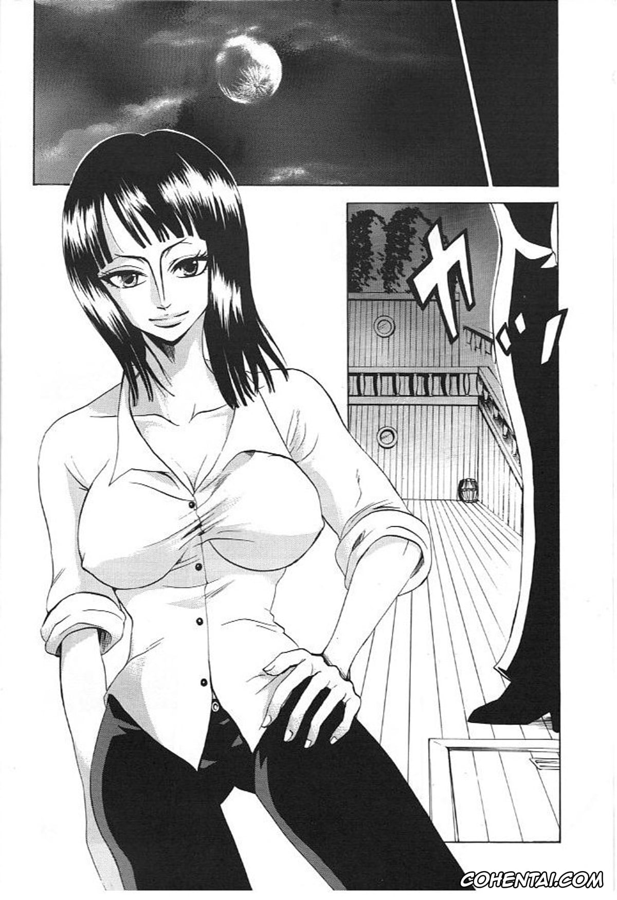 One Piece xxx, Monkey D. Luffy xxx, Nico Robin xxx, Kimi wa Pet (One Piece), pagina 4