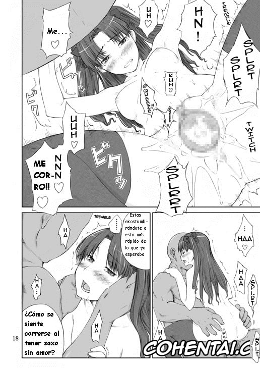 Fate/stay night porno, Rin Tosaka porno, Tohsaka-ke no Kakei Jijou (Fate/stay night), pagina 17