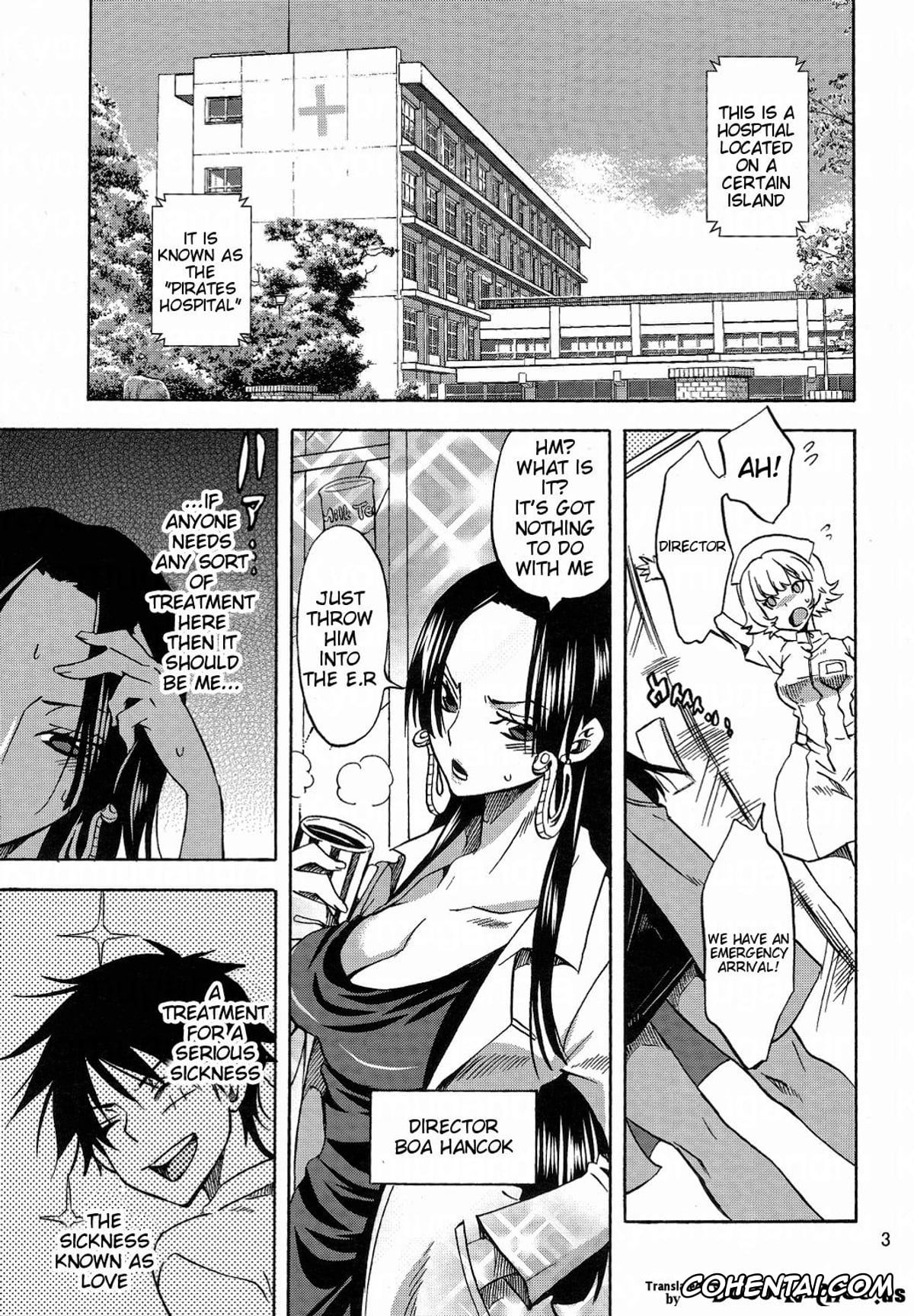 One Piece porno, Boa Hancock porno, Monkey D. Luffy porno, Pirates Hospital (ONE PIECE), pagina 2