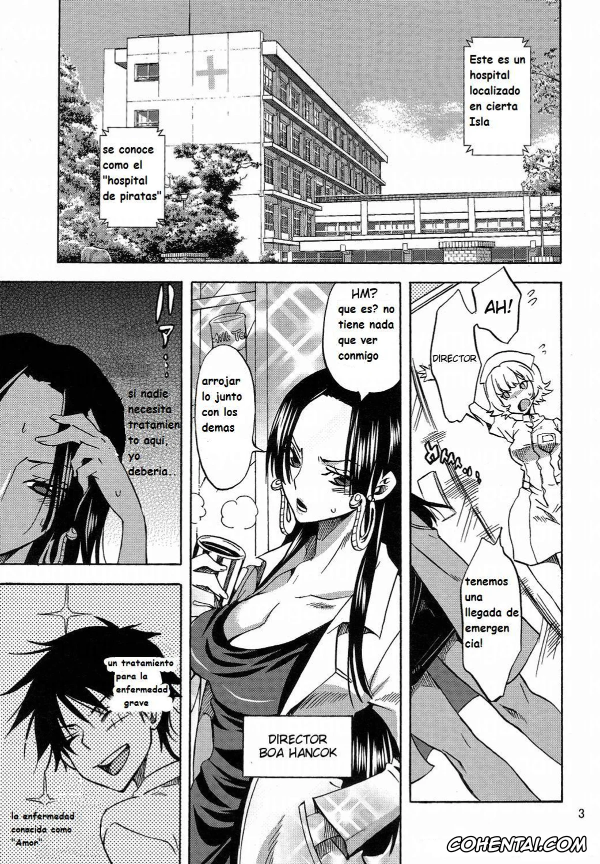 One Piece porno, Boa Hancock porno, Monkey D. Luffy porno, Pirates Hospital (One Piece), pagina 2