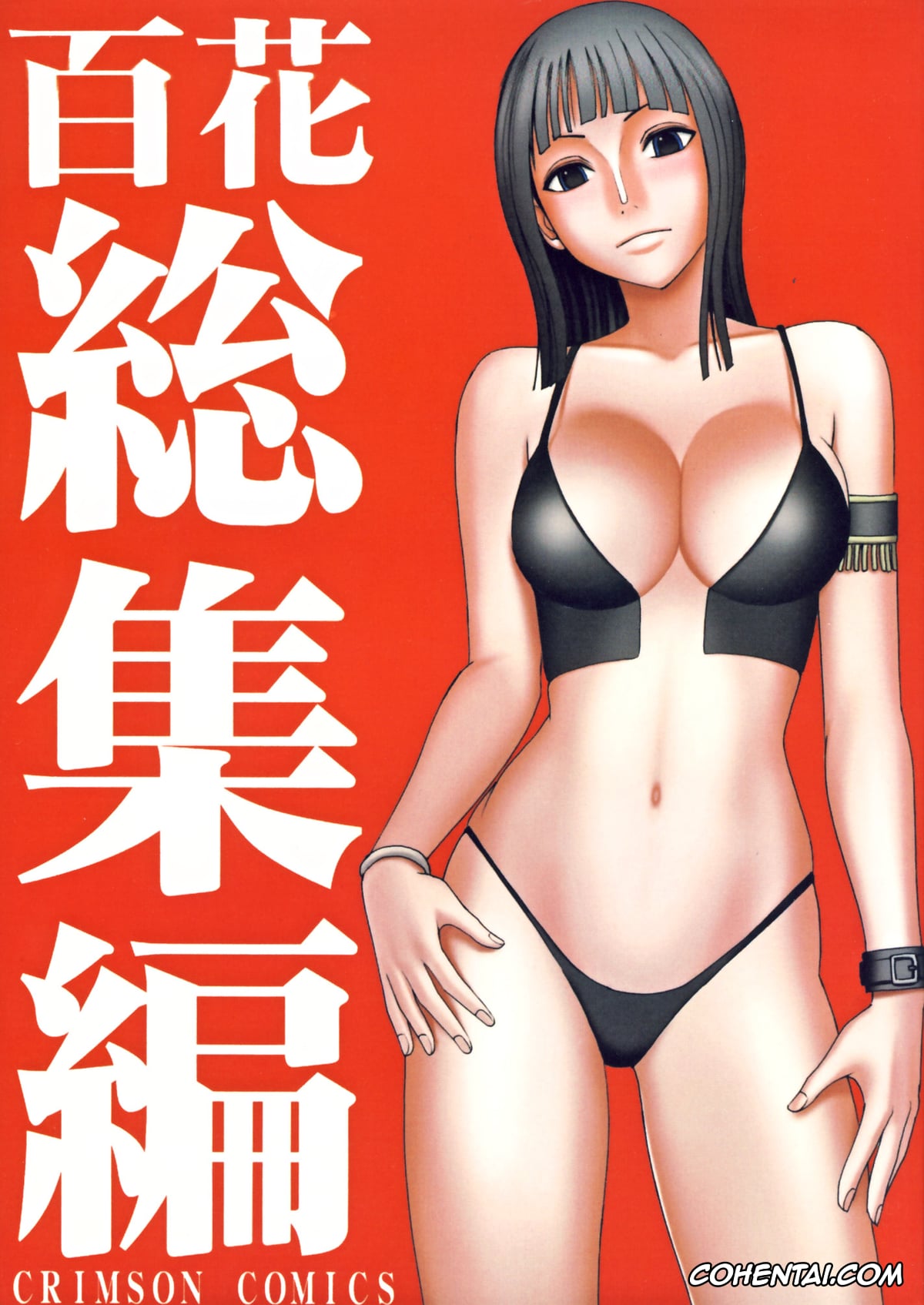 One Piece xxx, Nico Robin xxx, Hyakka Soushuuhen (One Piece), pagina 1