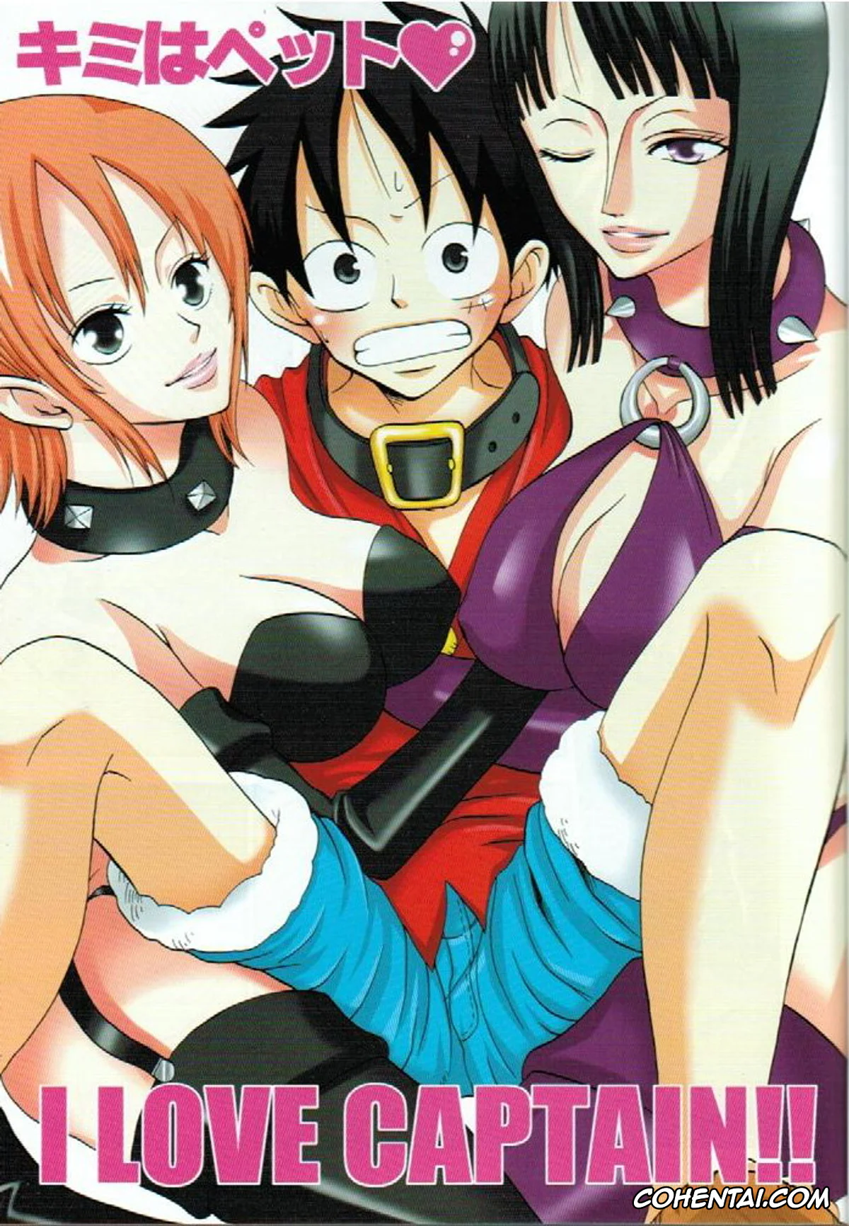 One Piece porno, Monkey D. Luffy porno, Nico Robin porno, Kimi wa Pet (One Piece), pagina 2