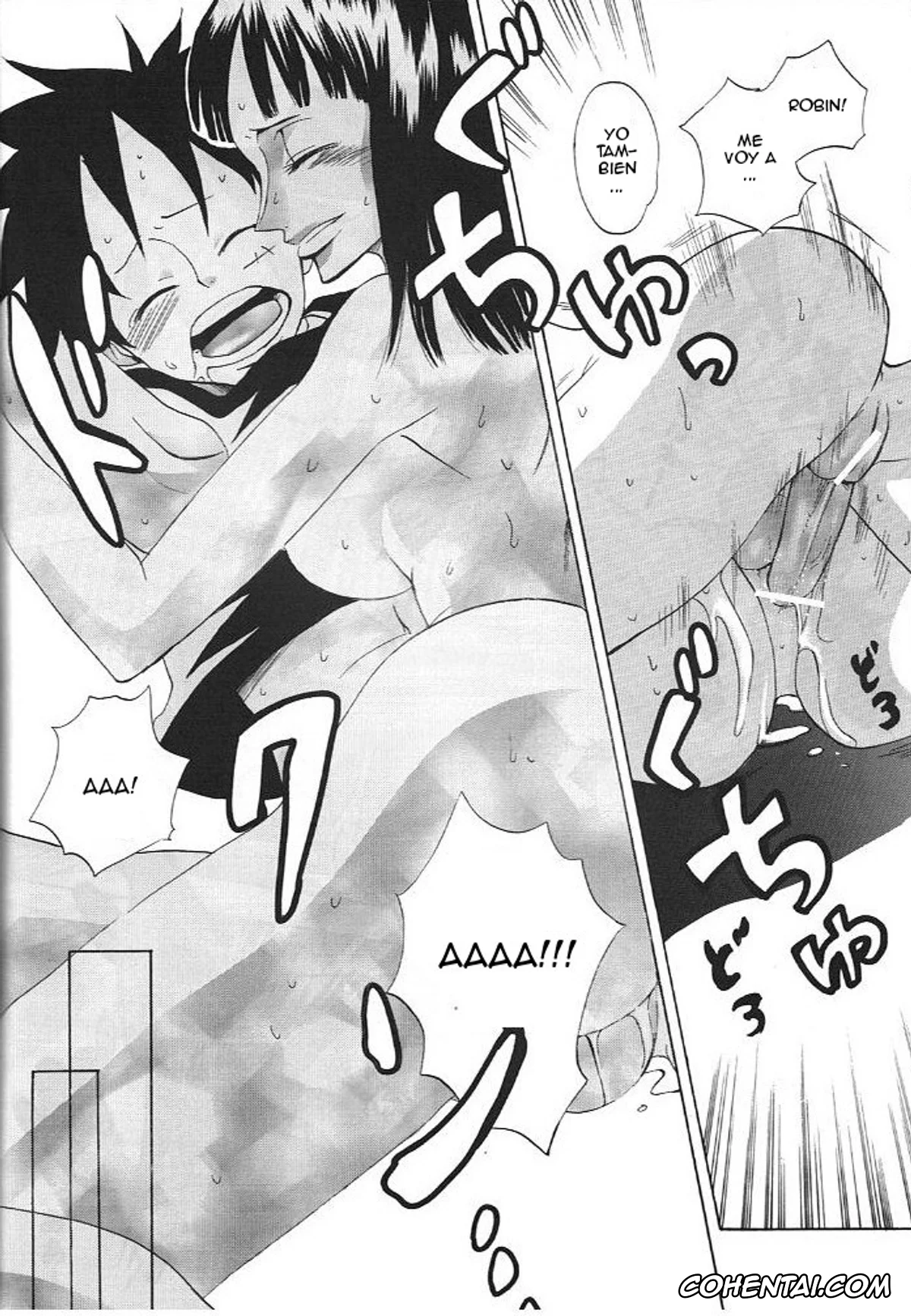 One Piece porno, Monkey D. Luffy porno, Nico Robin porno, Kimi wa Pet (One Piece), pagina 23