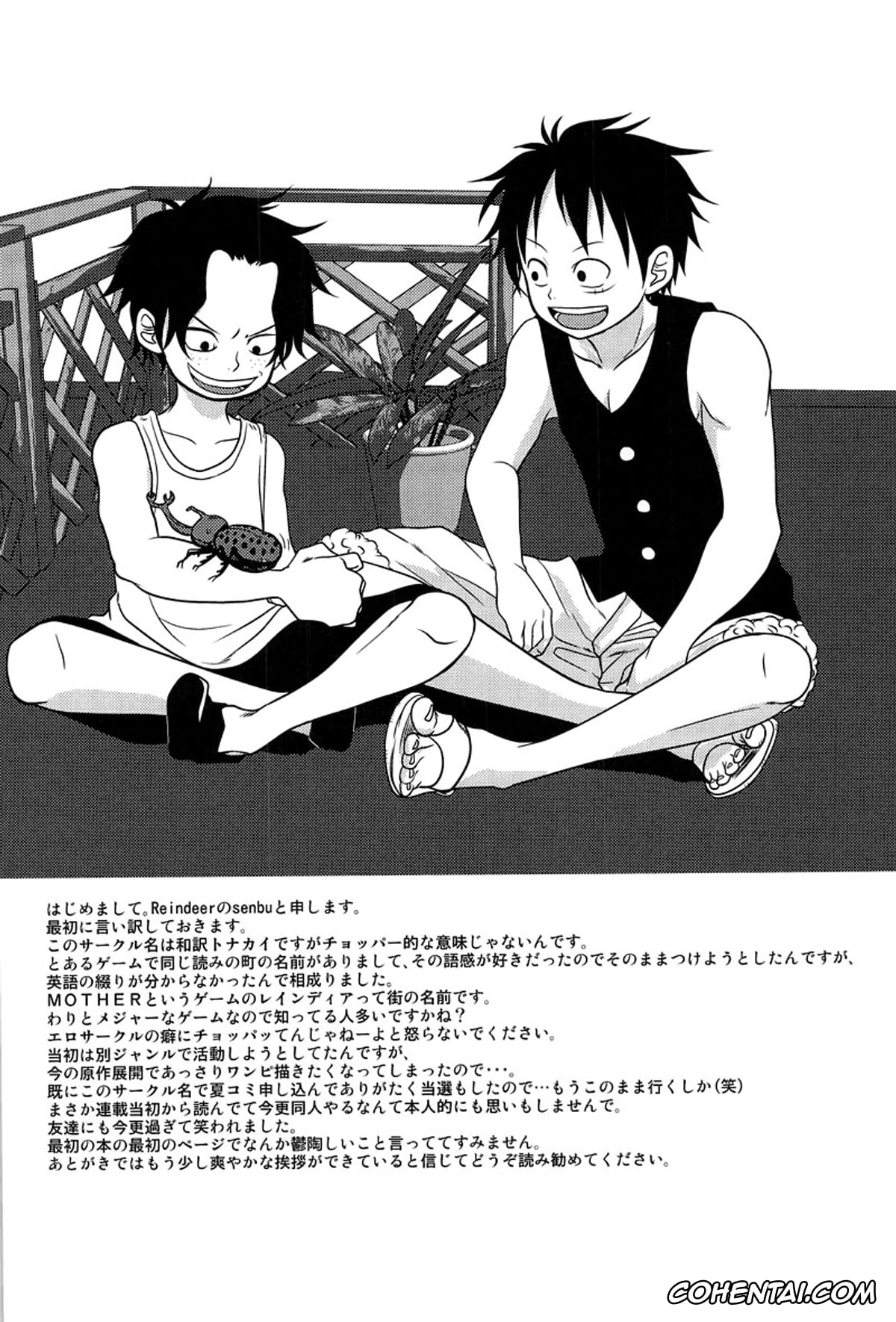 One Piece hentai, Monkey D. Luffy hentai, Portgas D. Ace hentai, Roronoa Zoro hentai, STARGAZER (One Piece), pagina 3