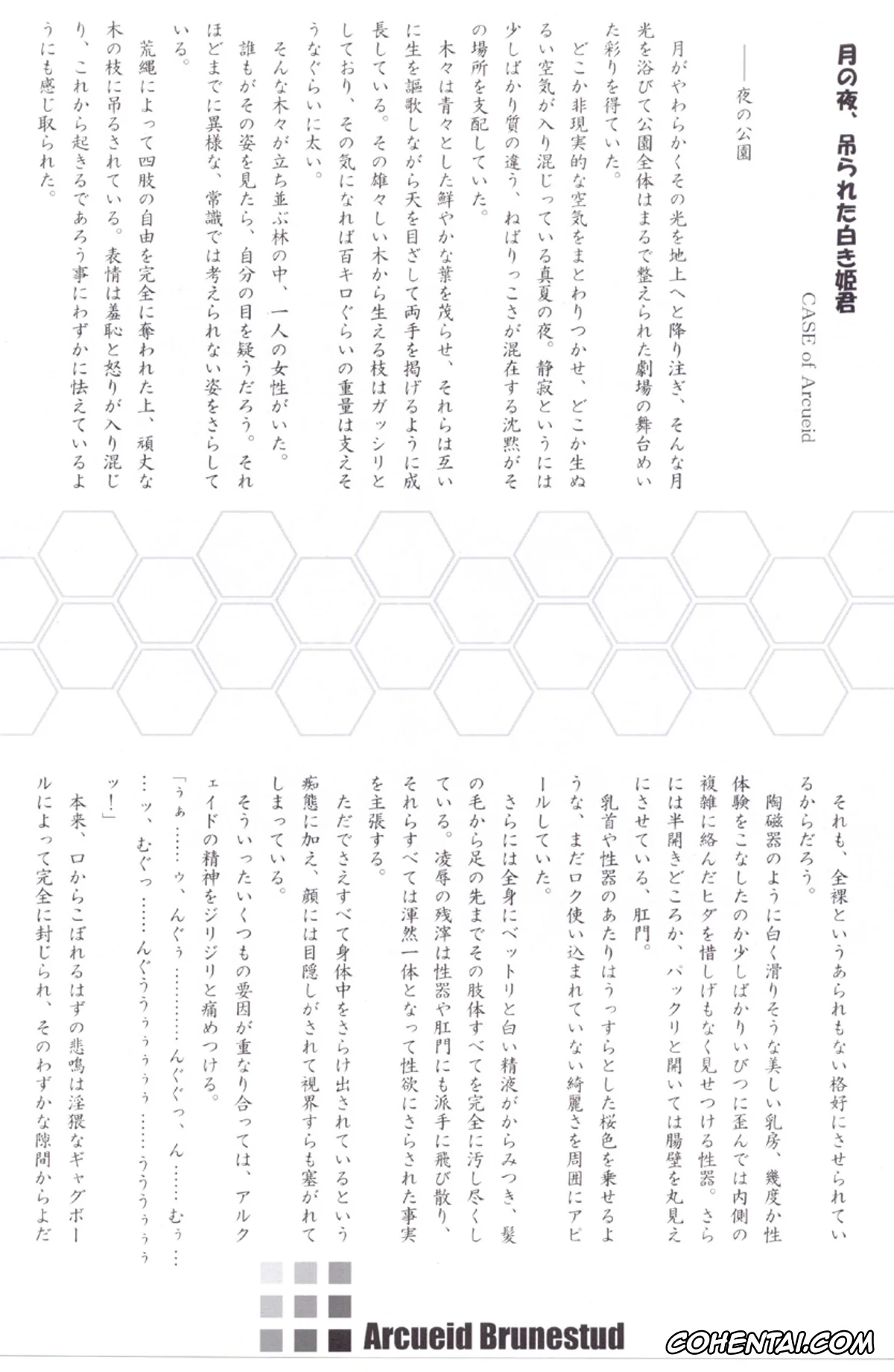 Tsukihime xxx, Arcueid Brunestud xxx, ERO Arc (Tsukihime, Melty Blood), pagina 25