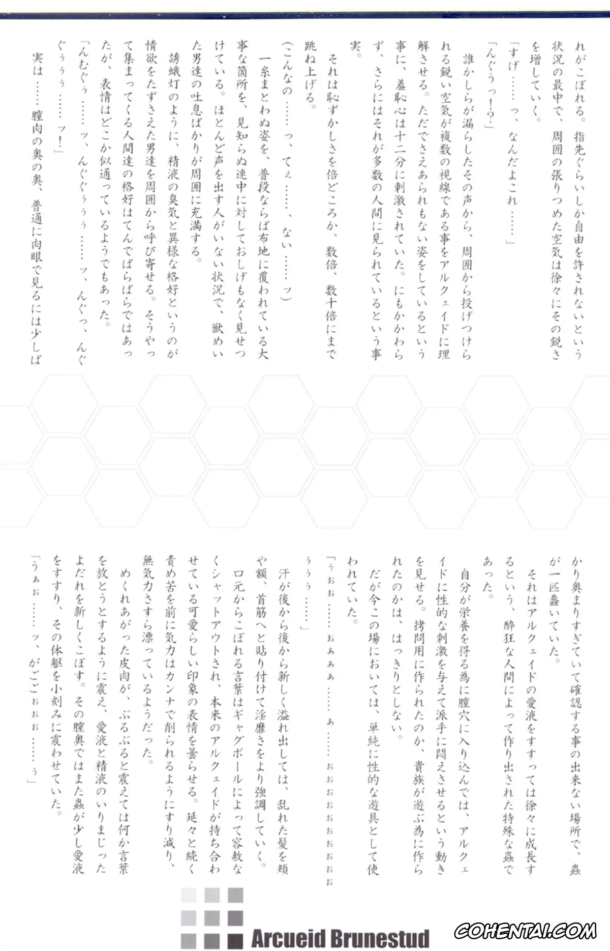 Tsukihime porno, Arcueid Brunestud porno, ERO Arc (Tsukihime, Melty Blood), pagina 26