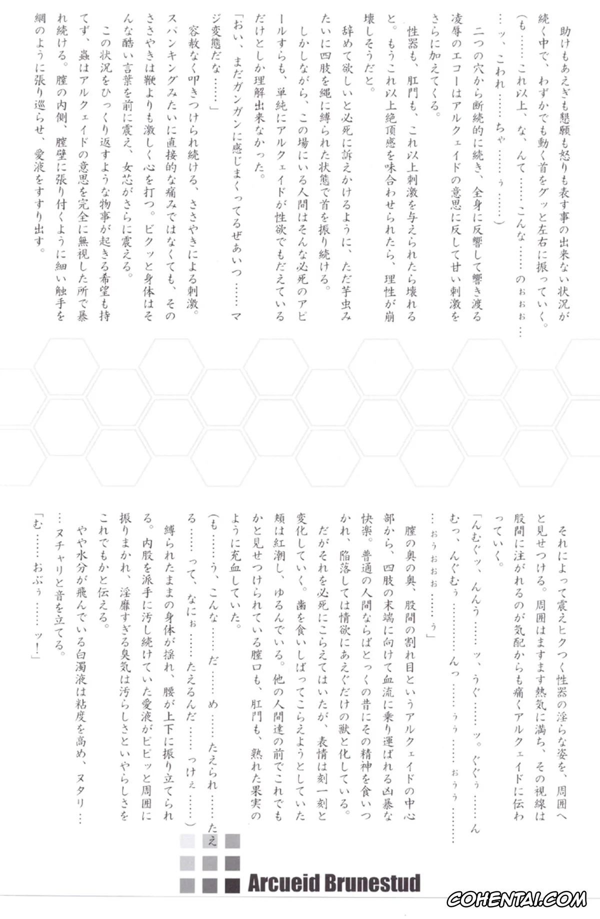 Tsukihime hentai, Arcueid Brunestud hentai, ERO Arc (Tsukihime, Melty Blood), pagina 27