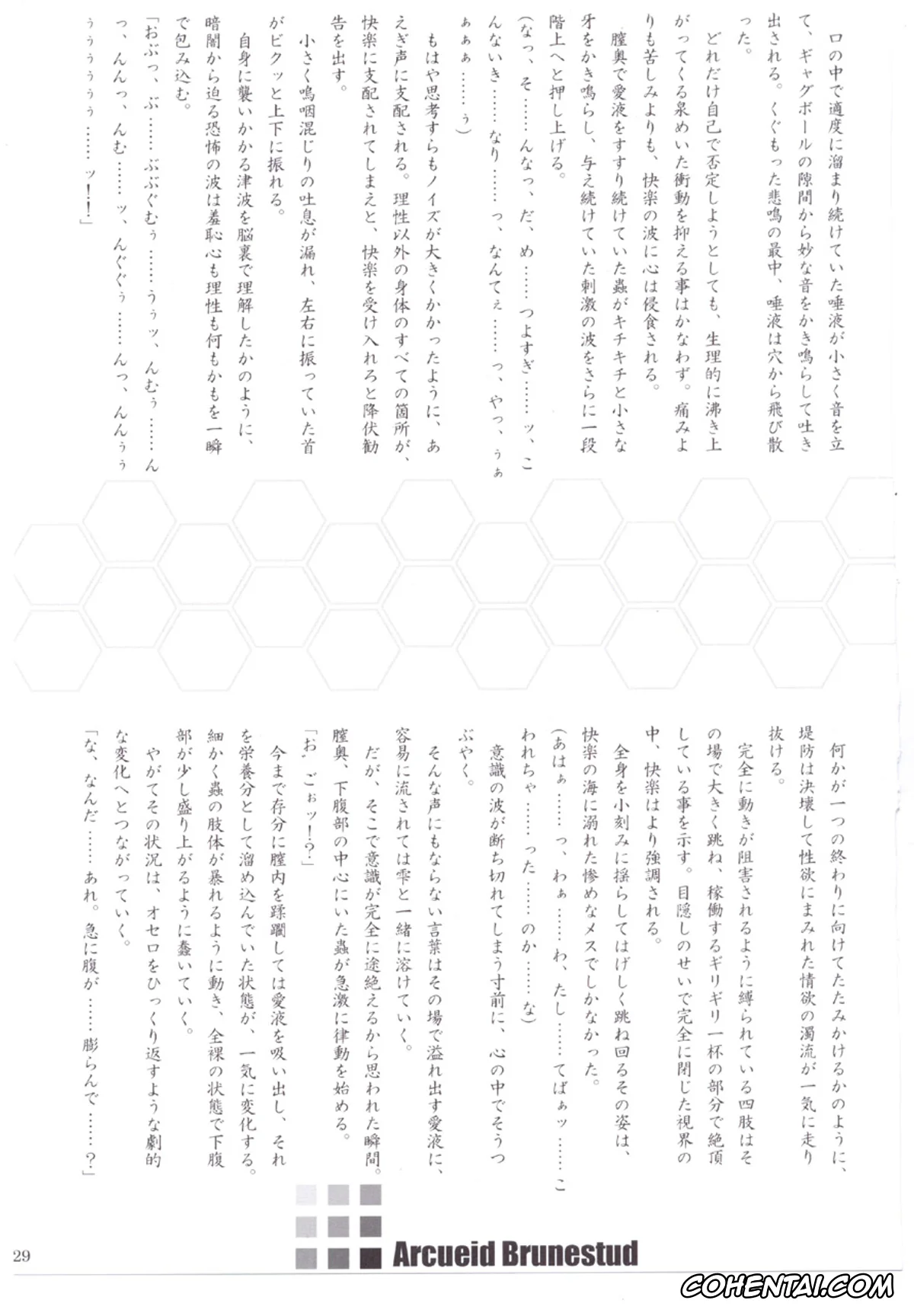 Tsukihime xxx, Arcueid Brunestud xxx, ERO Arc (Tsukihime, Melty Blood), pagina 28