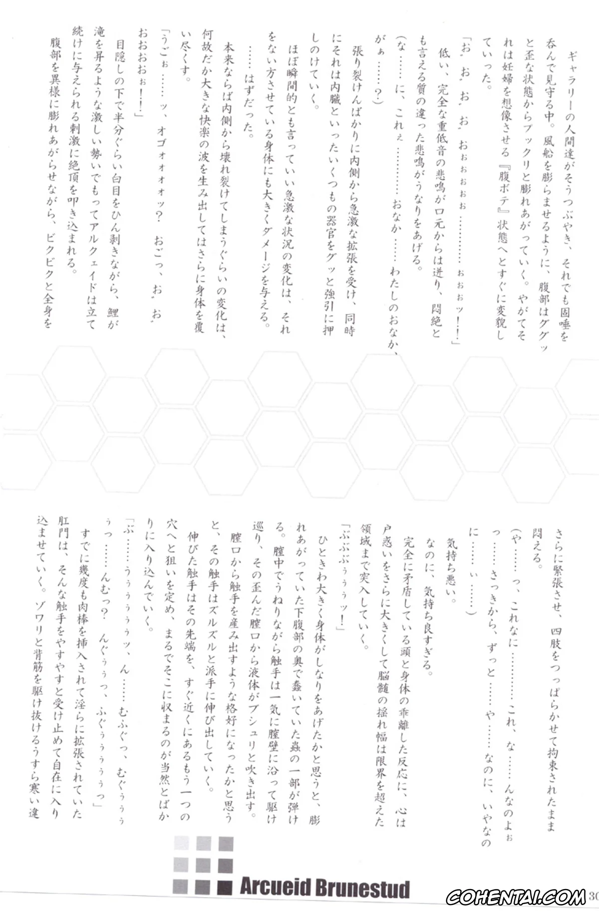 Tsukihime porno, Arcueid Brunestud porno, ERO Arc (Tsukihime, Melty Blood), pagina 29