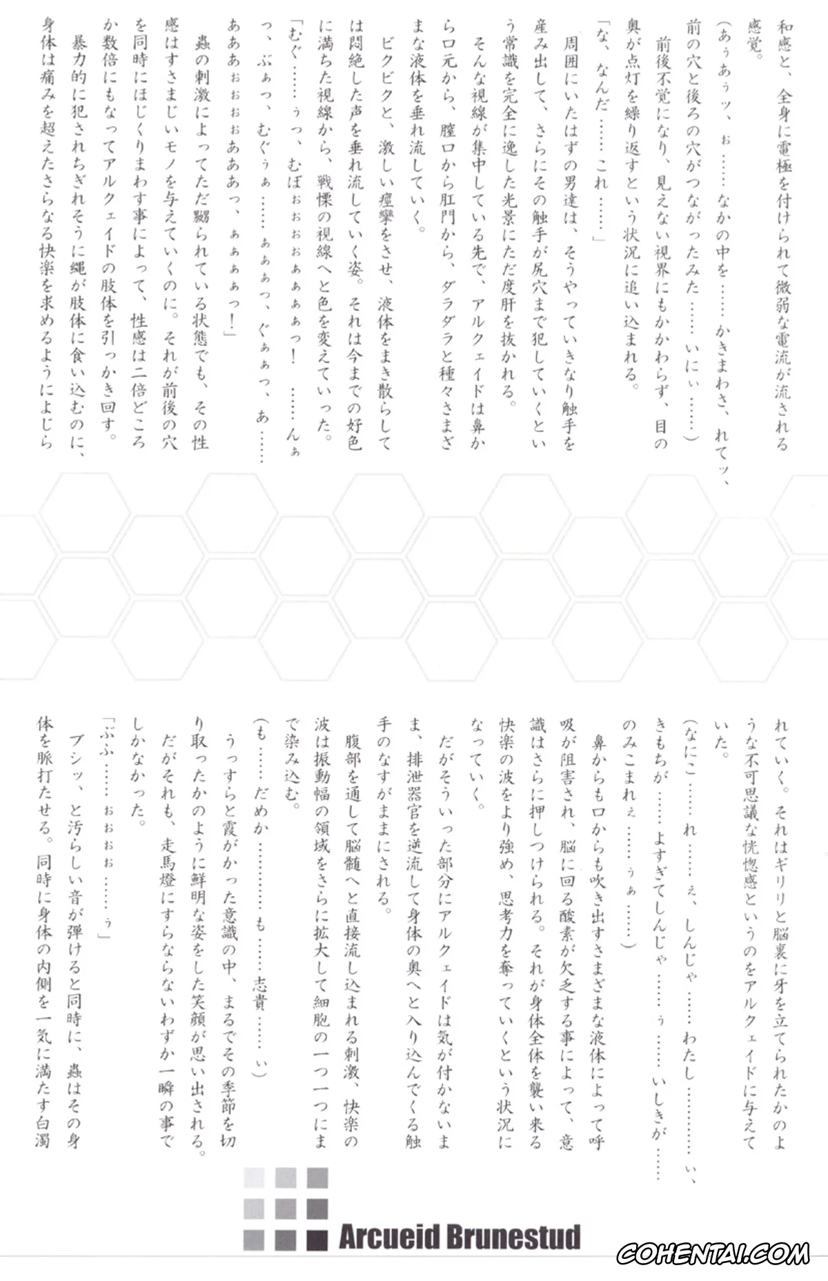 Tsukihime hentai, Arcueid Brunestud hentai, ERO Arc (Tsukihime, Melty Blood), pagina 30