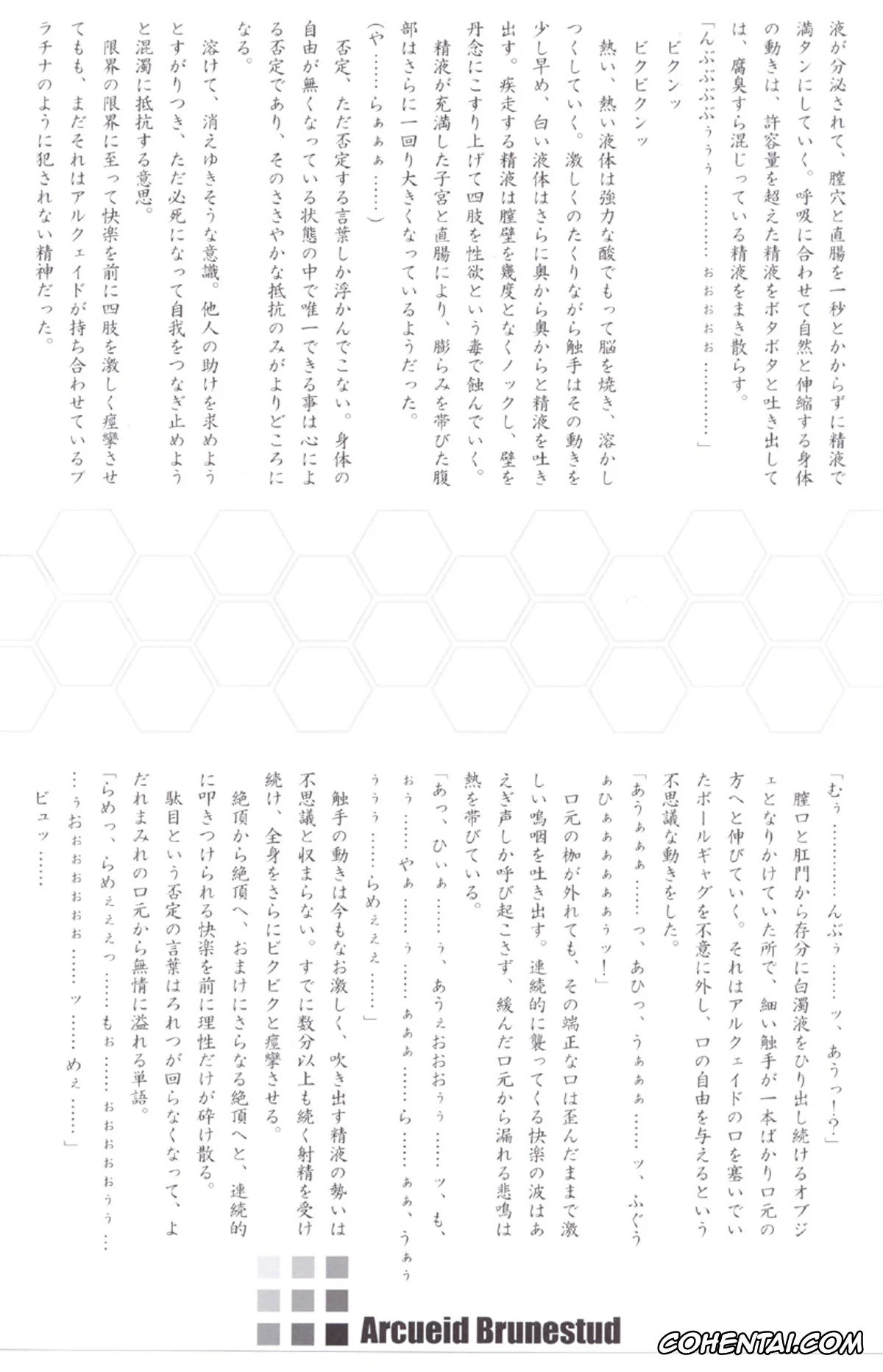 Tsukihime xxx, Arcueid Brunestud xxx, ERO Arc (Tsukihime, Melty Blood), pagina 31