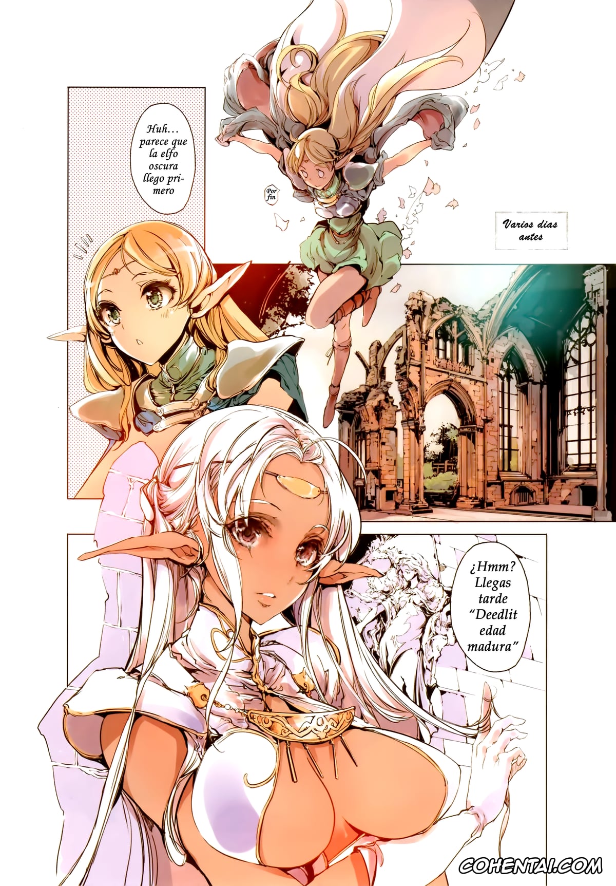 Lodoss-tou Senki | Record Of Lodoss War porno, Deedlit porno, Parn porno, Pirotess porno, Elves (Record of Lodoss War), pagina 8