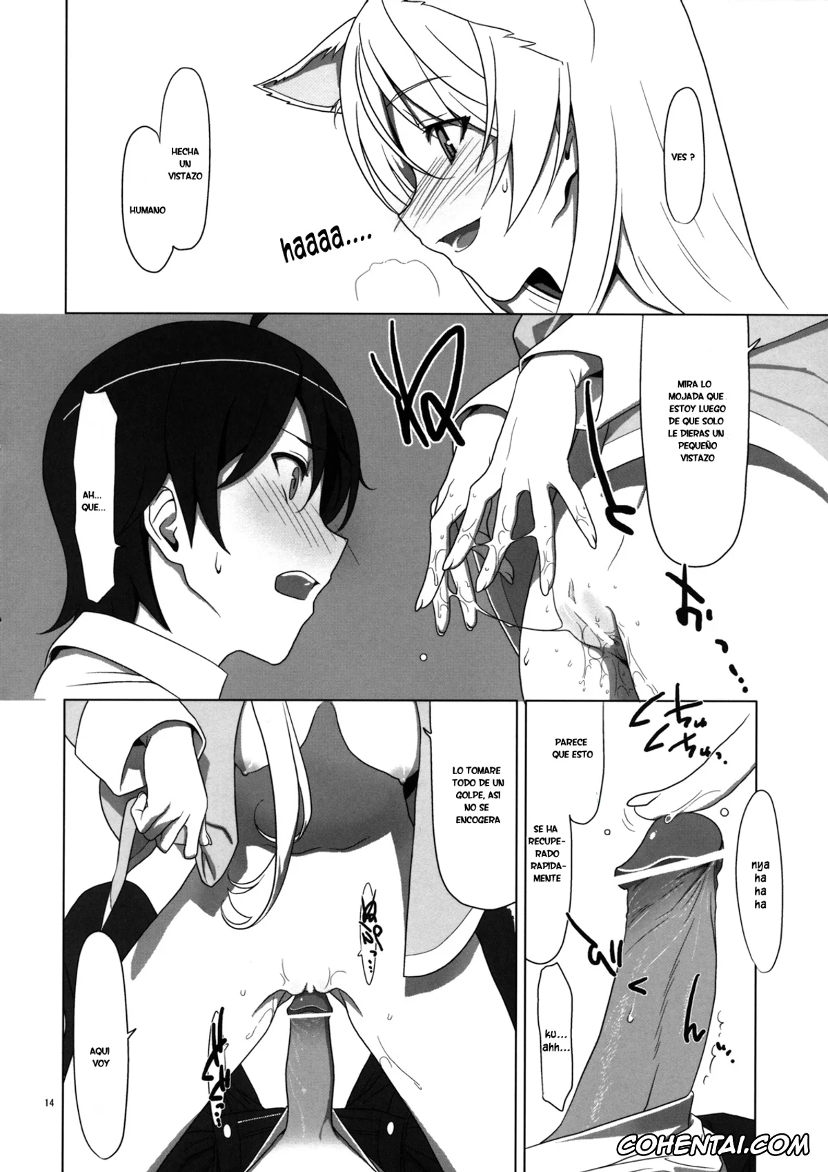 Bakemonogatari xxx, Hitagi Senjougahara xxx, Koyomi Araragi xxx, Tsubasa Hanekawa xxx, PLUNDER (Bakemonogatari), pagina 13