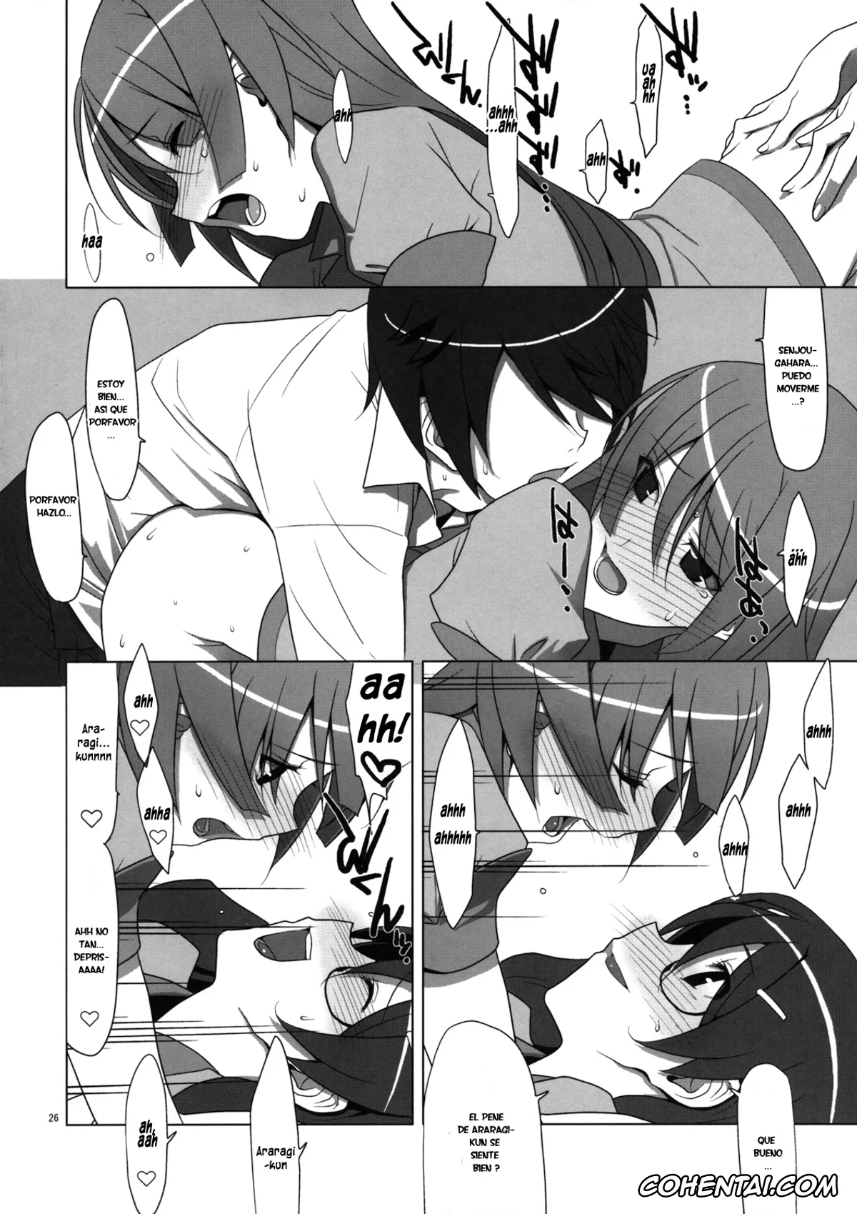 Bakemonogatari xxx, Hitagi Senjougahara xxx, Koyomi Araragi xxx, Tsubasa Hanekawa xxx, PLUNDER (Bakemonogatari), pagina 25