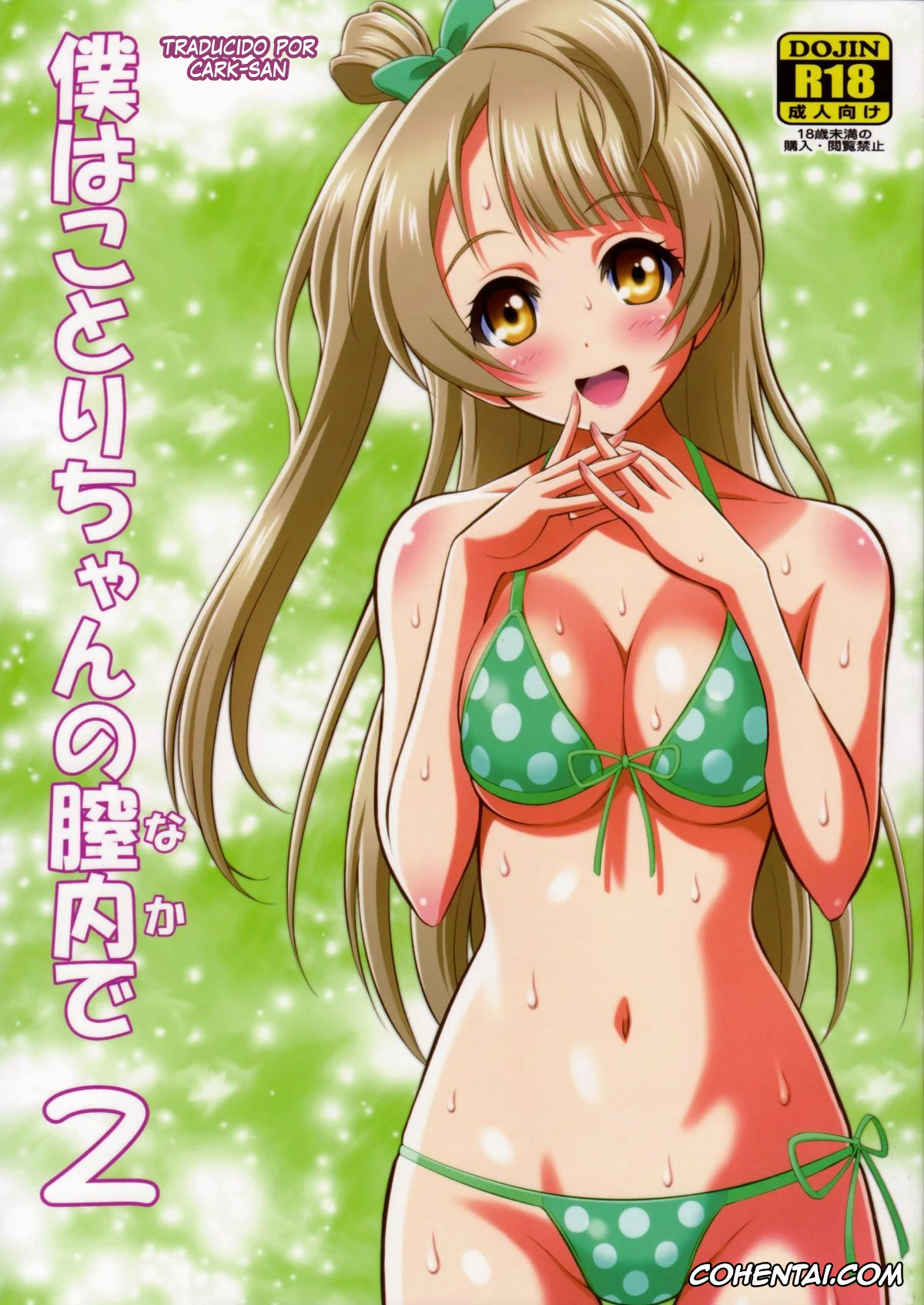 Love Live! xxx, Kotori Minami xxx, Boku wa Kotori-Chan no Naka de 2 (Love Live!), pagina 1