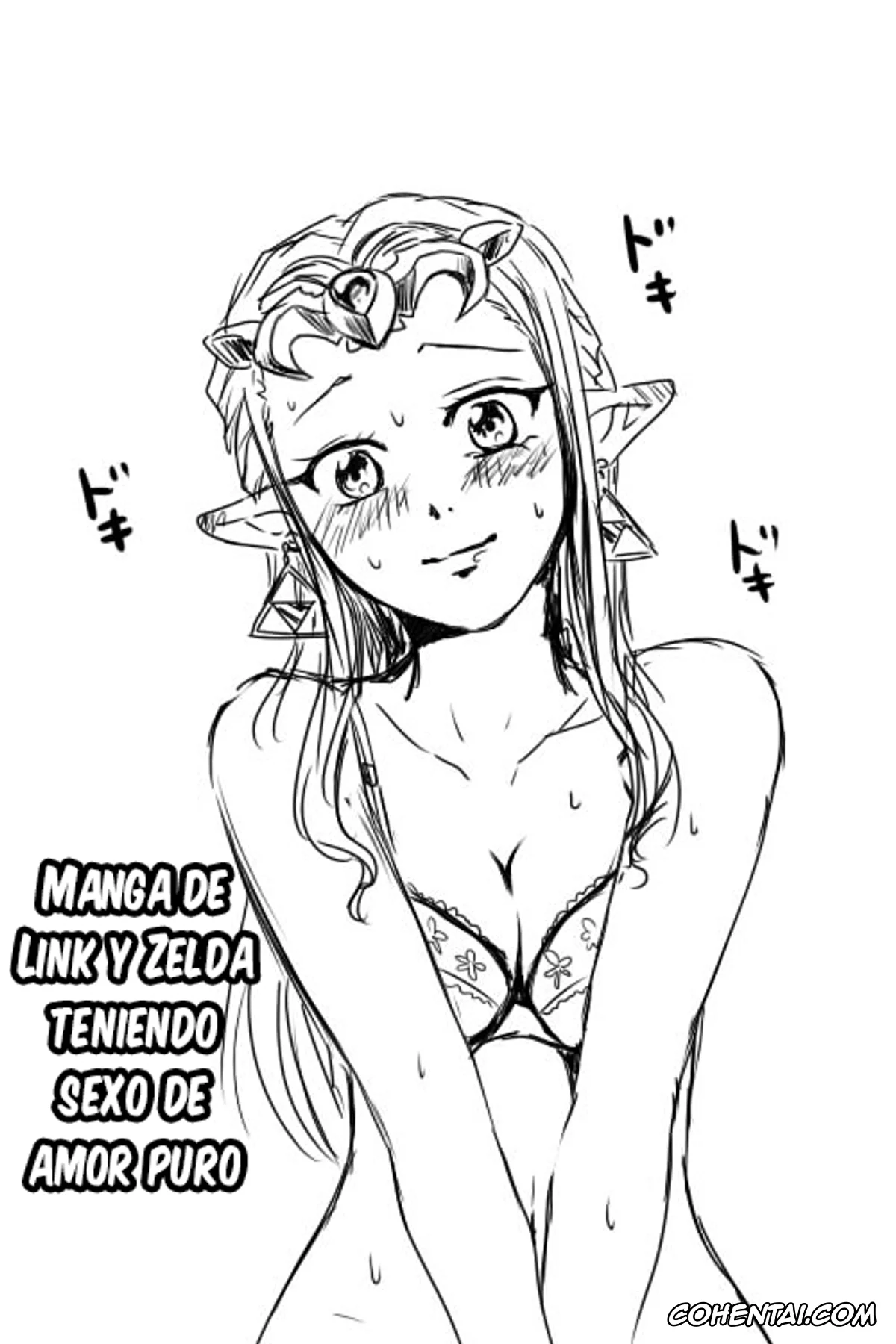 The Legend Of Zelda xxx, Link xxx, Princess Zelda xxx, Sheik xxx, Link to Zelda ga Jun Ai Ecchi suru Manga (The Legend Of Zelda), pagina 1