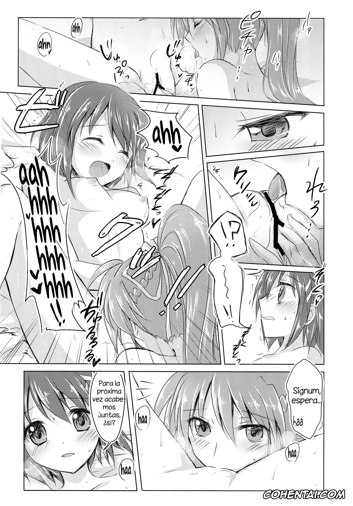 Mahou Shoujo Lyrical Nanoha | Magical Girl Lyrical Nanoha hentai, Hayate Yagami hentai, Signum hentai, My Prince (Mahou Shoujo Lyrical Nanoha), pagina 15