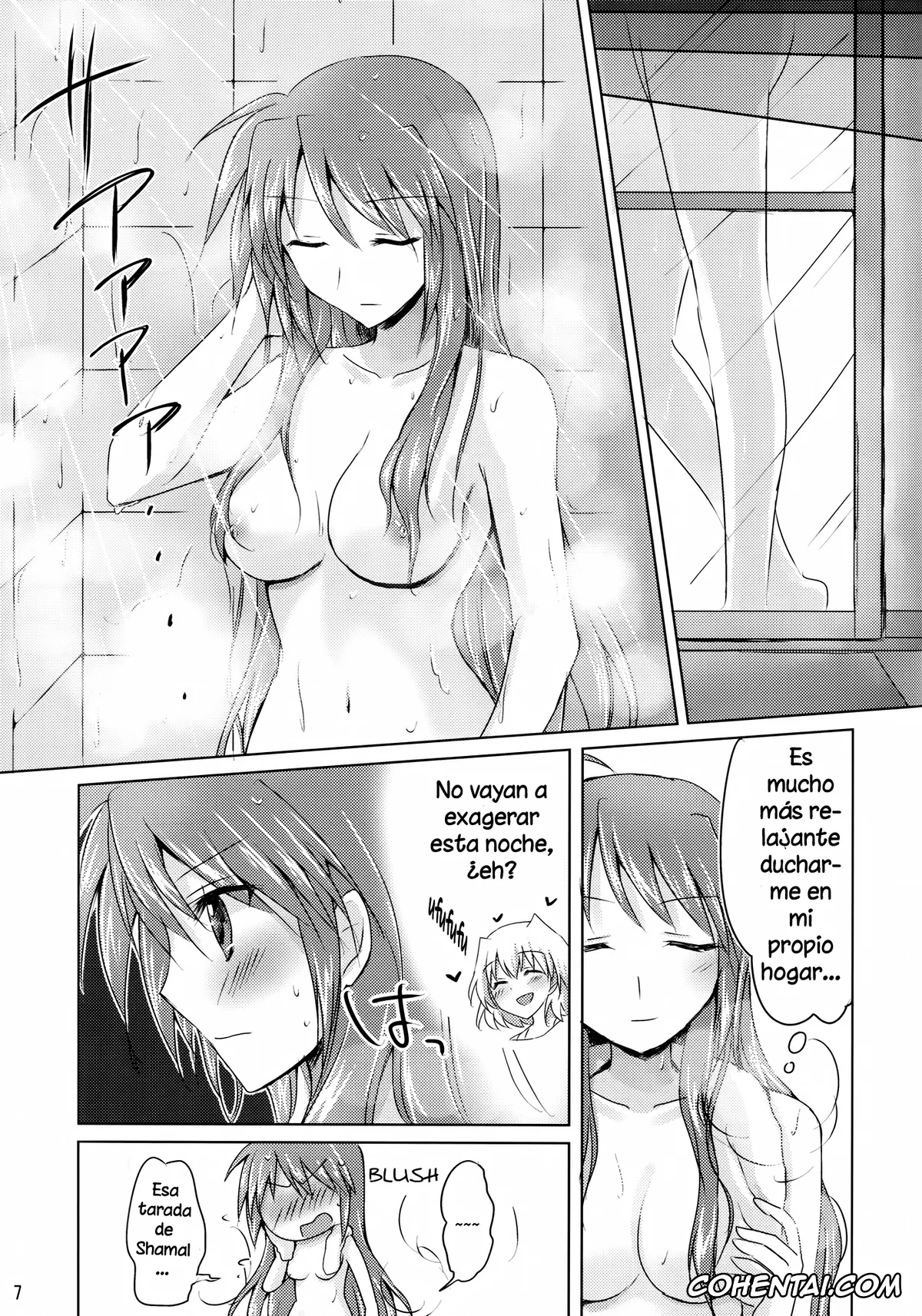 Mahou Shoujo Lyrical Nanoha | Magical Girl Lyrical Nanoha hentai, Hayate Yagami hentai, Signum hentai, My Prince 2 (Mahou Shoujo Lyrical Nanoha), pagina 6