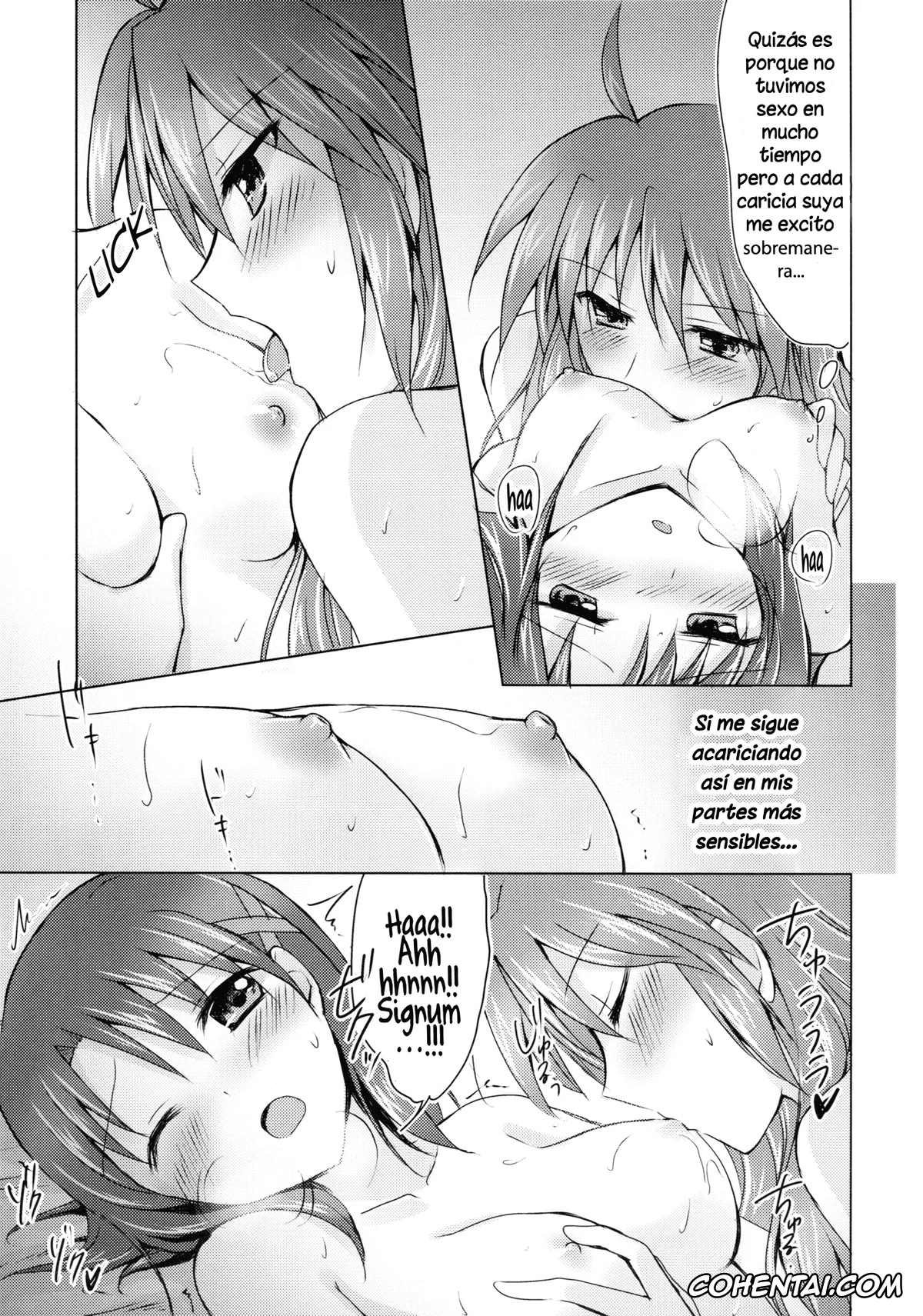 Mahou Shoujo Lyrical Nanoha | Magical Girl Lyrical Nanoha hentai, Hayate Yagami hentai, Signum hentai, My Prince 2 (Mahou Shoujo Lyrical Nanoha), pagina 12