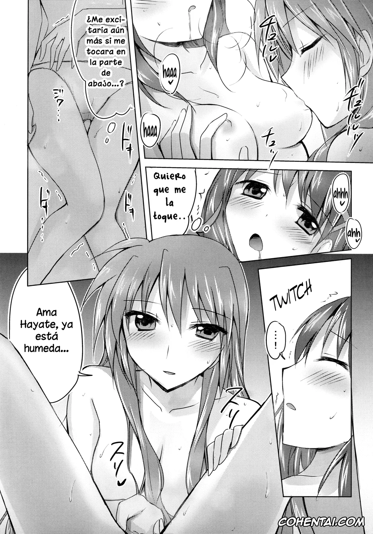 Mahou Shoujo Lyrical Nanoha | Magical Girl Lyrical Nanoha xxx, Hayate Yagami xxx, Signum xxx, My Prince 2 (Mahou Shoujo Lyrical Nanoha), pagina 13